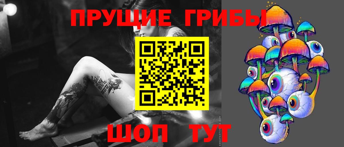 Галлюциногенные грибы Psilocybe Дмитров